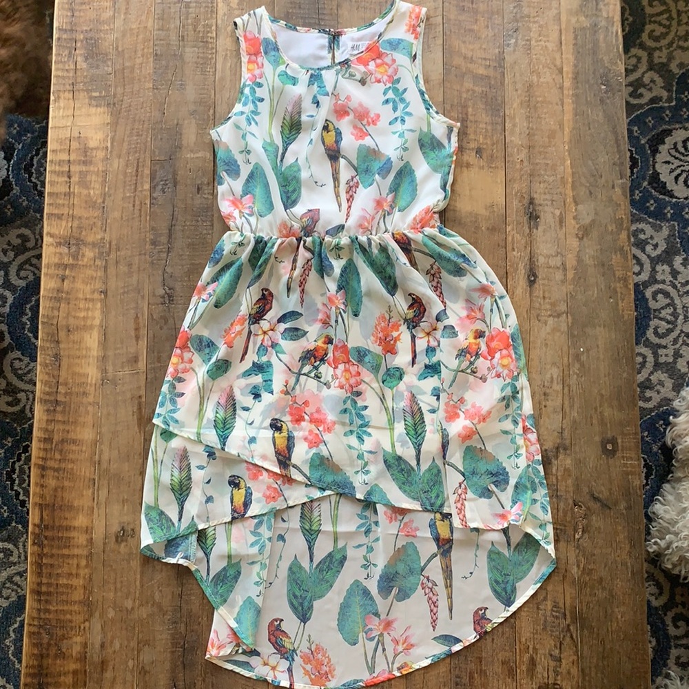 H&M Jungle Dress